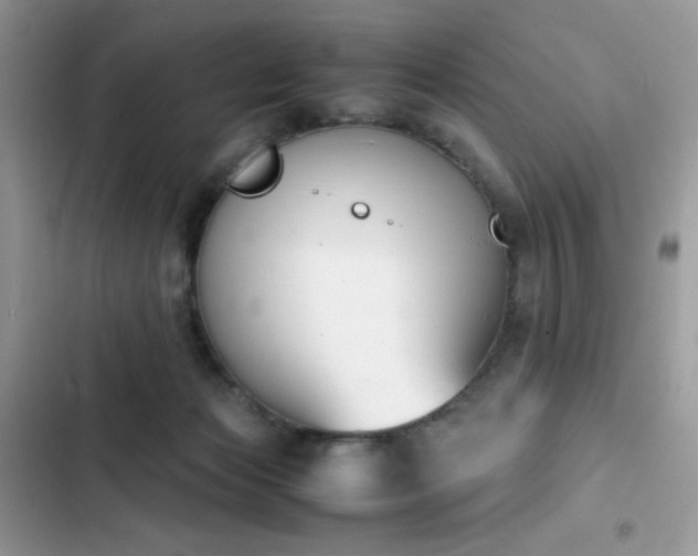 X0000103940173200809191425