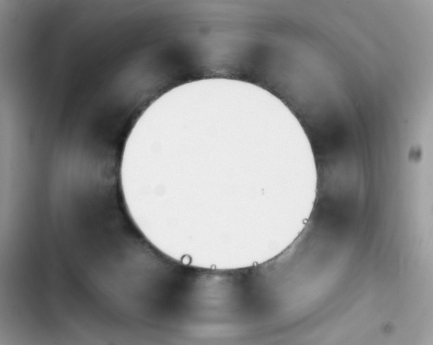 X0000103940174200809191425