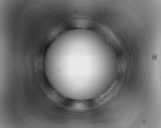 X0000103940175200809191425