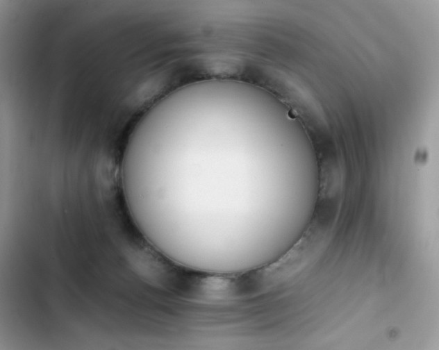 X0000103940176200809191425