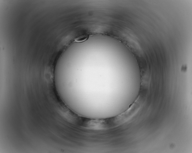 X0000103940179200809191425