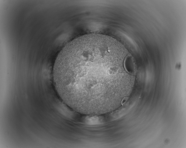 X0000103940181200809191425