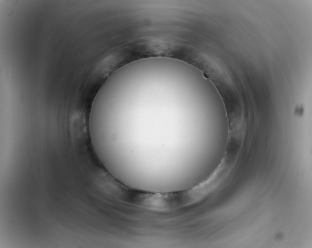 X0000103940182200809191425