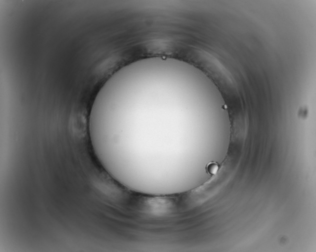 X0000103940183200809191425
