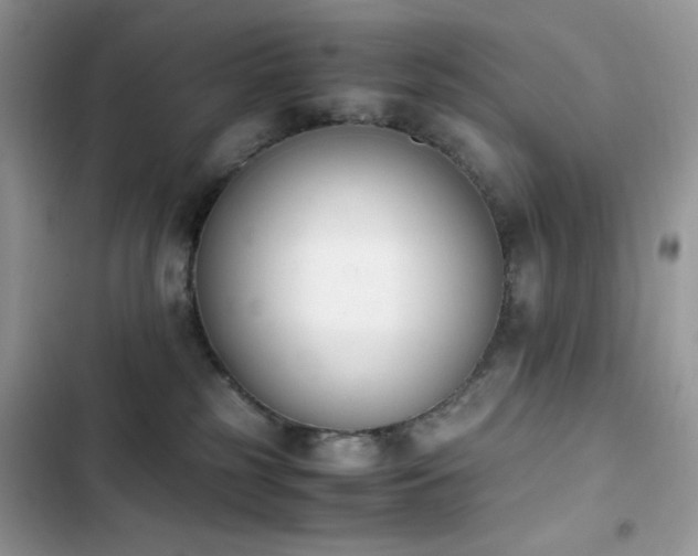 X0000103940185200809191425