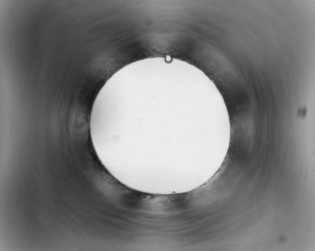 X0000103940186200809191425
