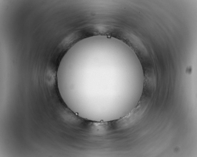 X0000103940188200809191425