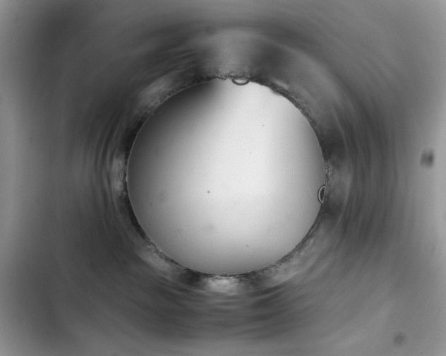 X0000103940189200809191425