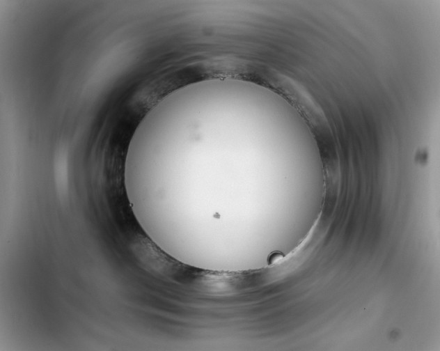 X0000103940190200809191425