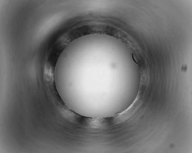 X0000103940191200809191425
