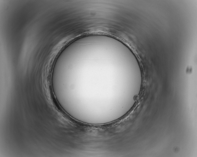 X0000103940193200809191425
