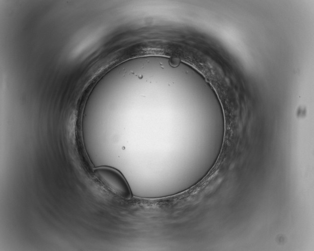 X0000103940194200809191425