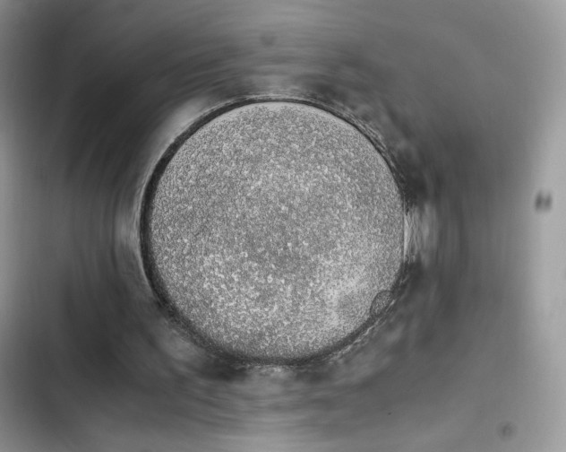 X0000103940195200809191425