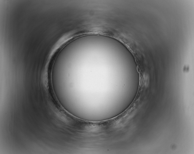 X0000103940198200809191425