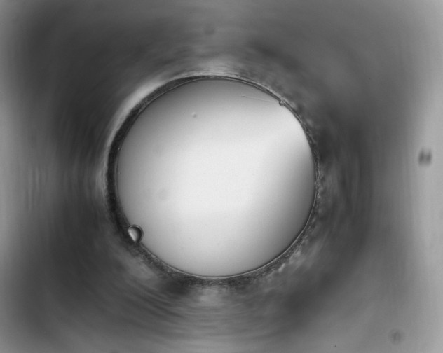 X0000103940200200809191425