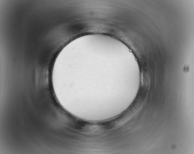 X0000103940205200809191425