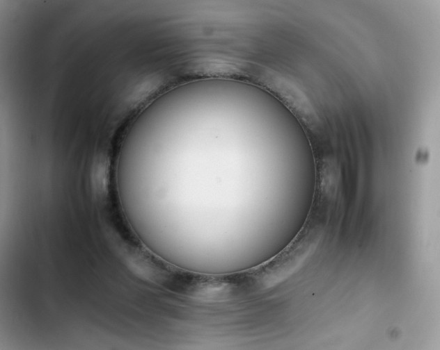 X0000103940206200809191425