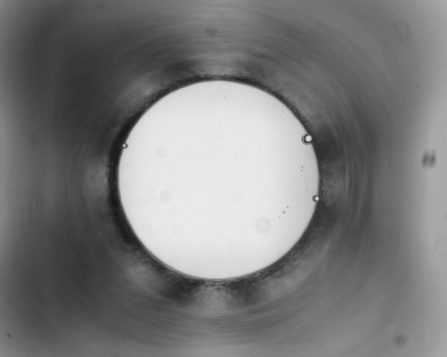 X0000103940207200809191425