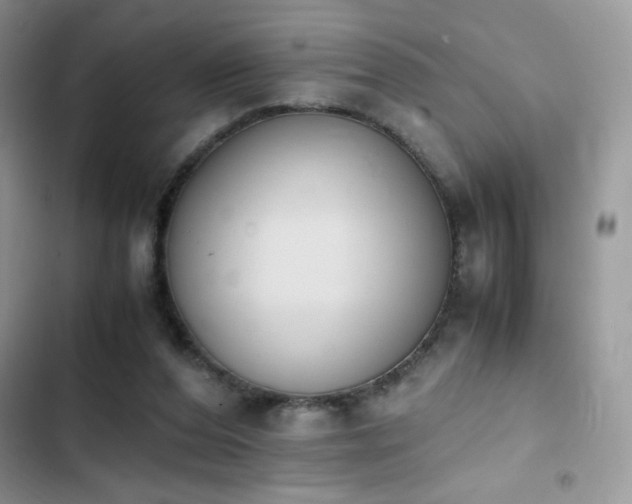 X0000103940208200809191425