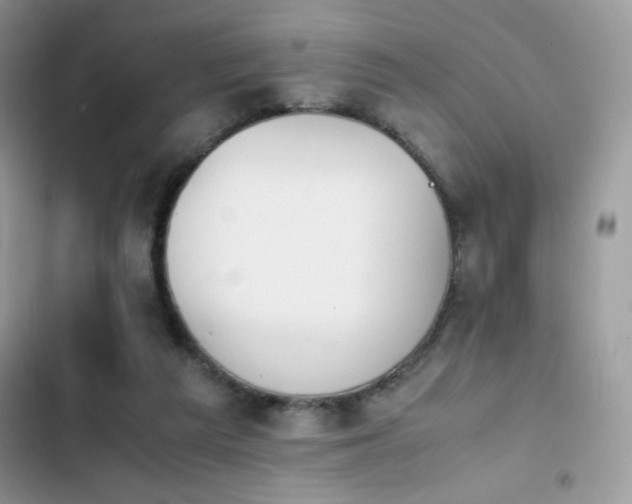 X0000103940209200809191425
