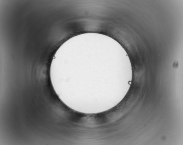 X0000103940211200809191425