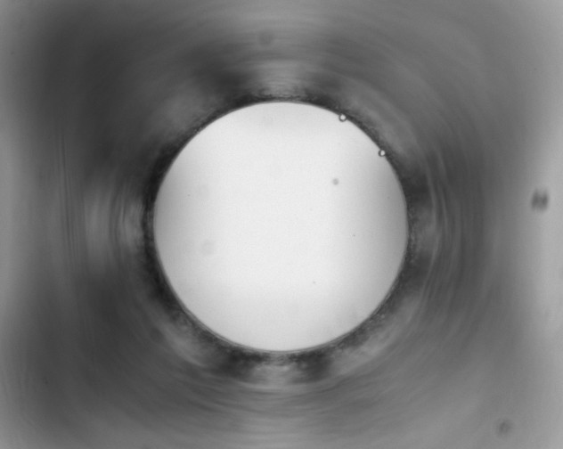 X0000103940213200809191425