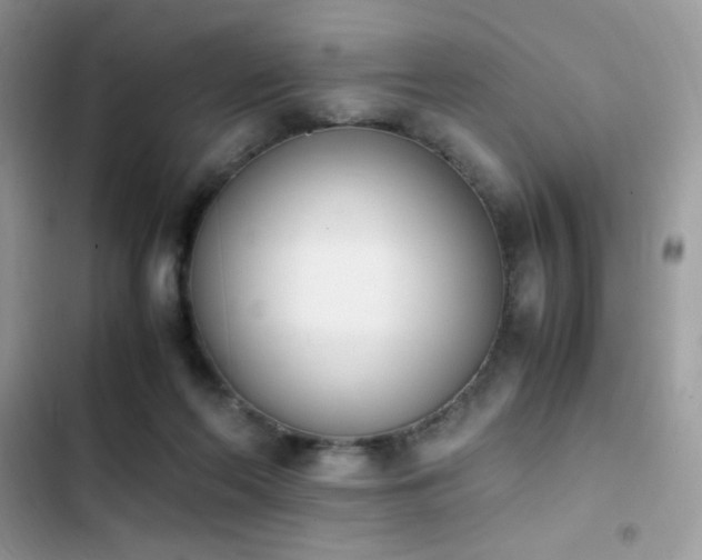X0000103940214200809191425