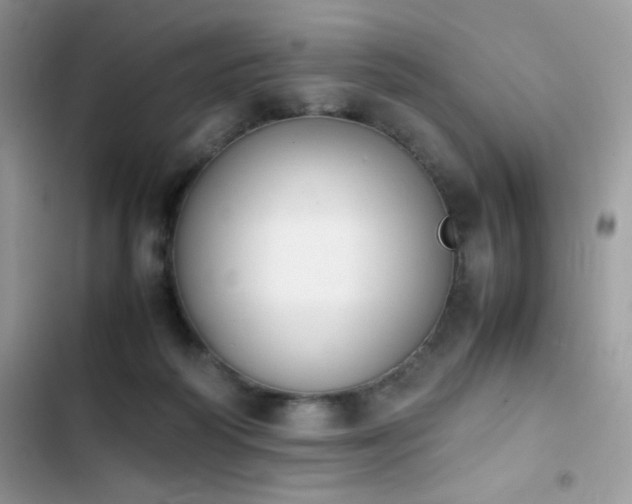 X0000103940218200809191424