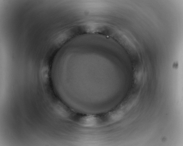 X0000103940219200809191424