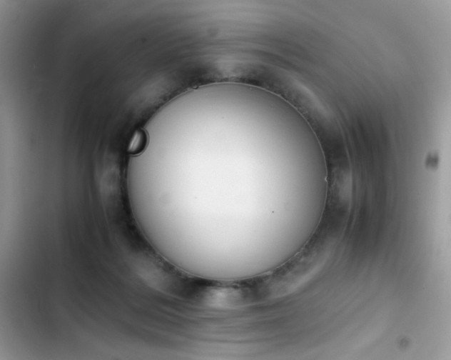 X0000103940220200809191424