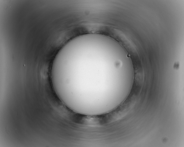 X0000103940221200809191424