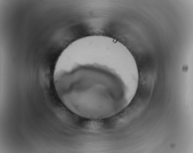 X0000103940223200809191424