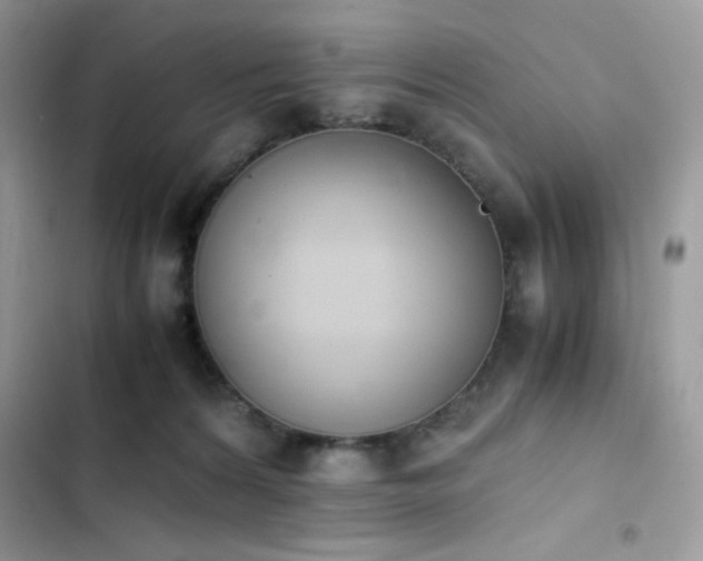X0000103940224200809191424