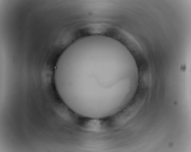 X0000103940227200809191424