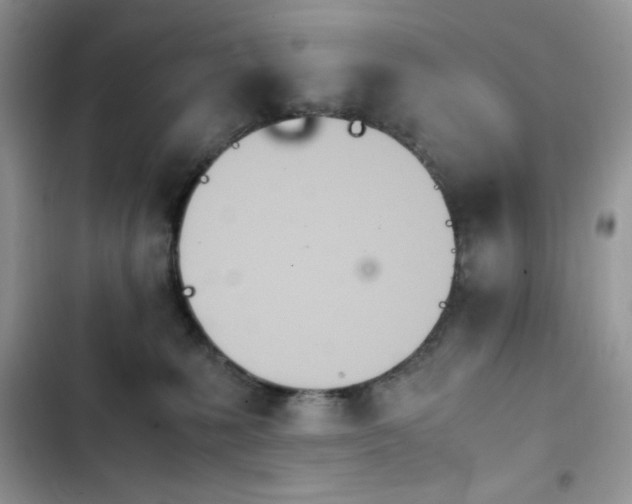 X0000103940231200809191424