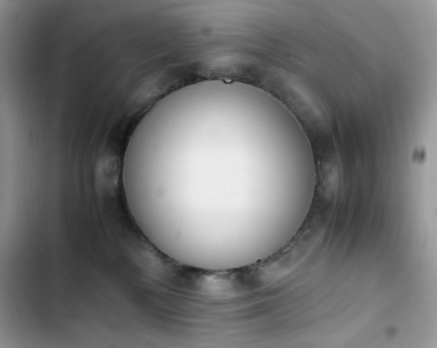 X0000103940232200809191424