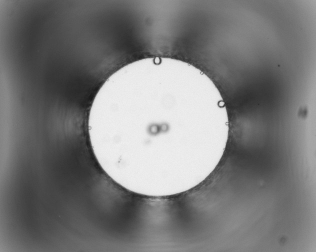 X0000103940233200809191424