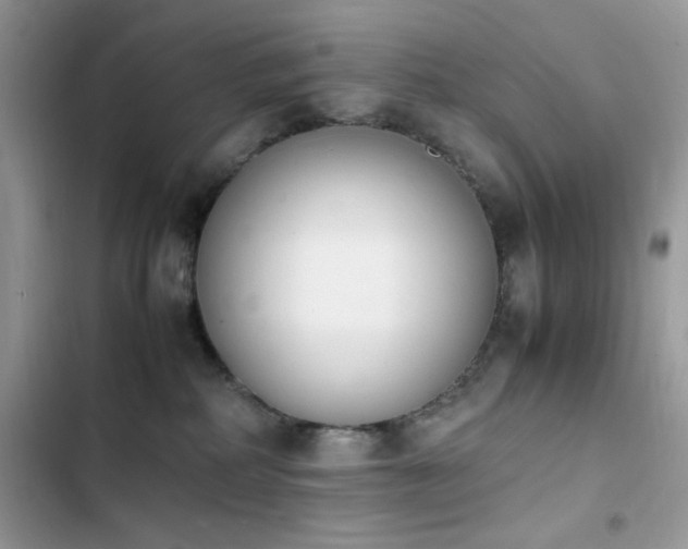 X0000103940234200809191424