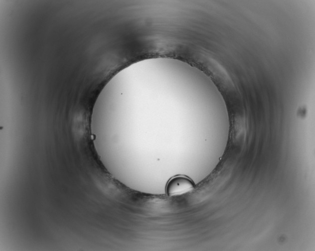 X0000103940236200809191424