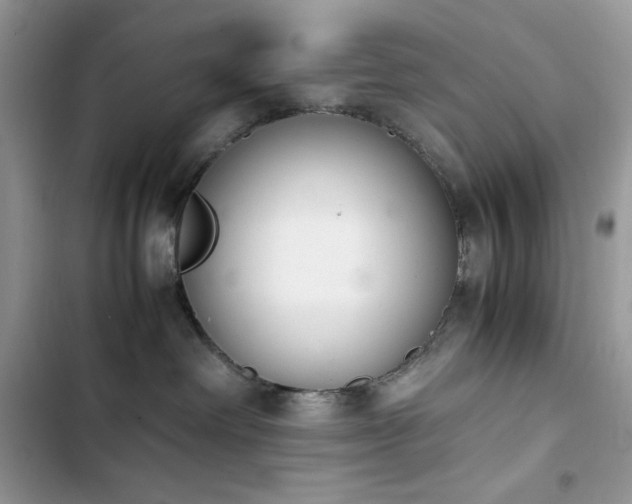 X0000103940238200809191424