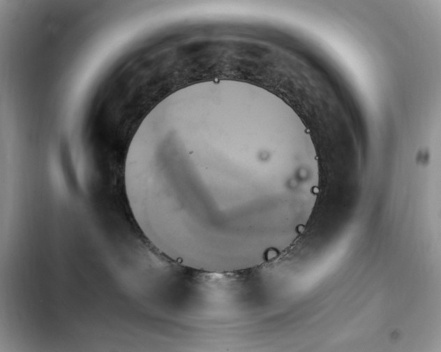 X0000103940239200809191424