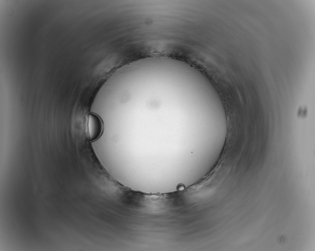 X0000103940240200809191424
