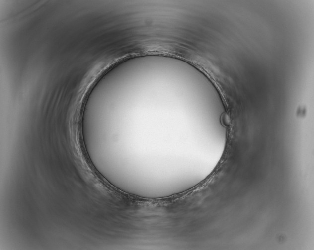 X0000103940241200809191424