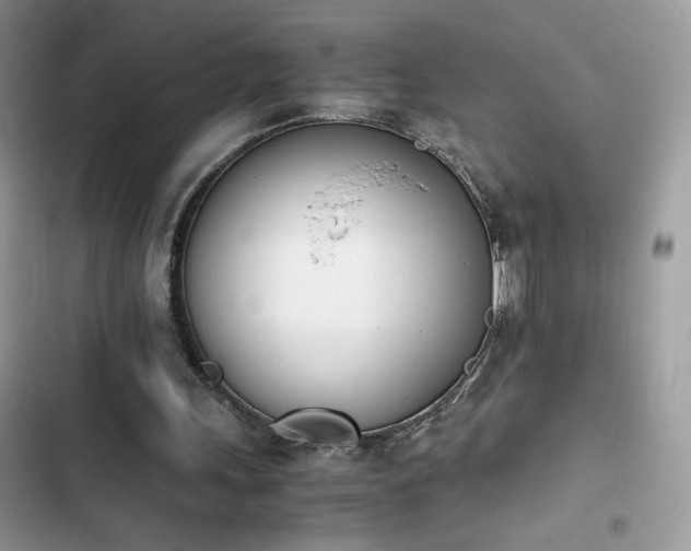 X0000103940243200809191424