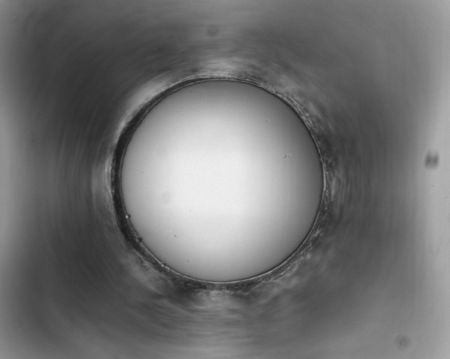 X0000103940244200809191424