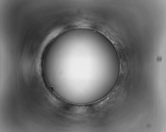X0000103940245200809191424