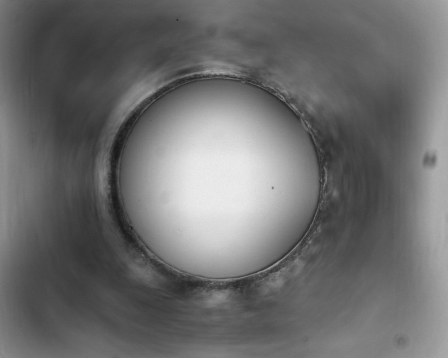 X0000103940247200809191424