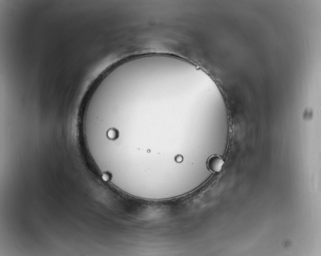 X0000103940248200809191424