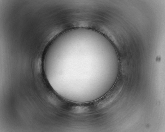 X0000103940251200809191424