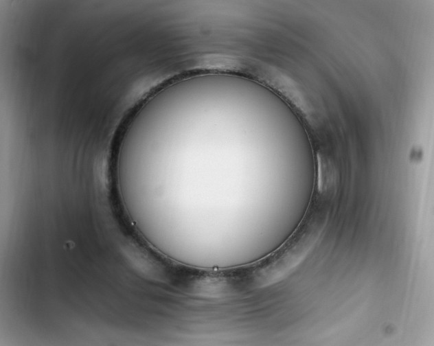 X0000103940252200809191424